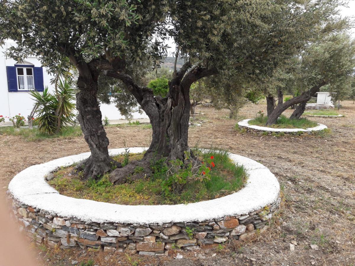 Elisso Villas Platis Gialos  Екстериор снимка