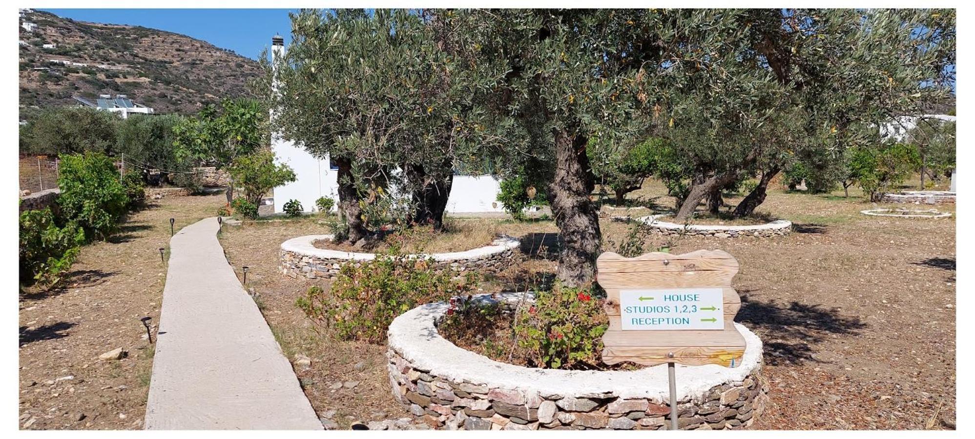 Elisso Villas Platis Gialos  Екстериор снимка